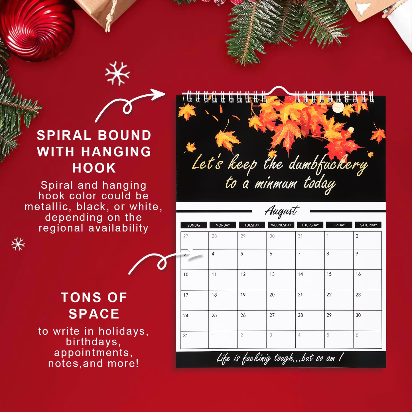 【Christmas gifts】2025 Mental Health Calendar with Funny Swear Quotes, Affirmations, and Monthly Planner for Home Offices - Portable and Easy to Hang skylight calendar aesthetic noteboo daily planner plannerk sticker lovers chalkboard calendar